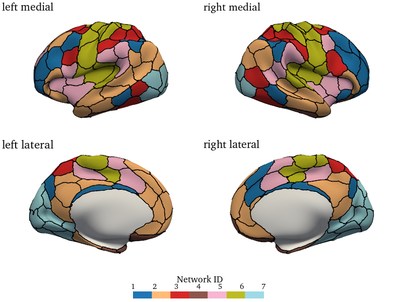 ../../_images/sections_notebooks_example_cifti_5_0.png